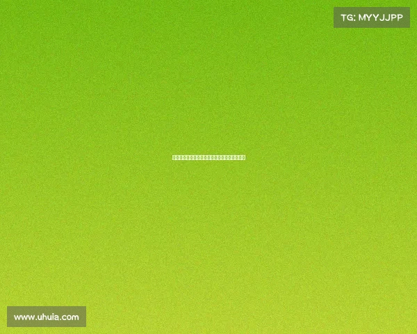 以维拉蒂为核心打造巴黎圣日耳曼的中场新局面